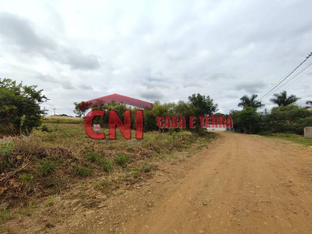 Terreno para Venda em Siqueira Campos - 4