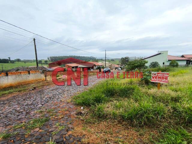 Terreno para Venda em Siqueira Campos - 5